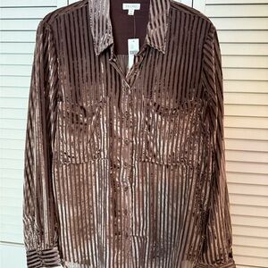 Pilcro Velvet Striped Shirt in Brown